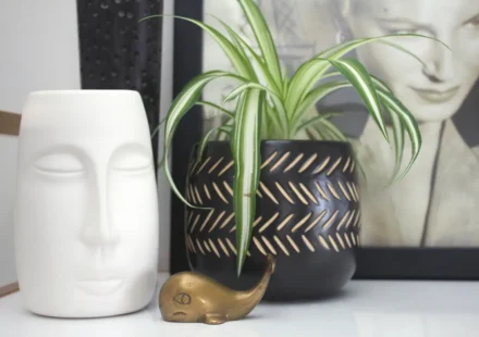 stocksnap tdau1ercd4